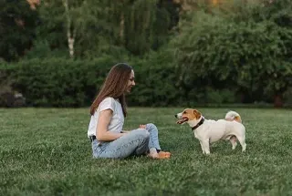 Pet Park